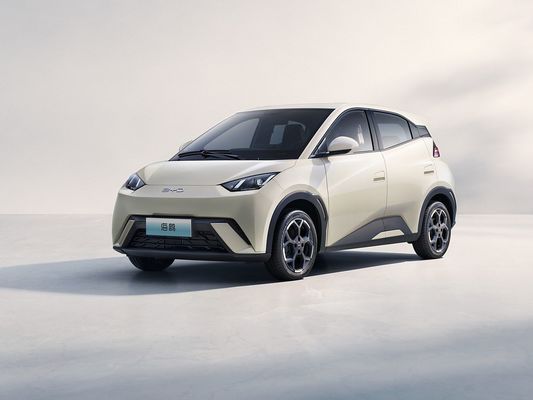 2025 Новая модель BYD Seagull Быстрая зарядка Электрическое транспортное средство Горячая продажа Mini EV Дальний диапазон и большая батарея 405KM